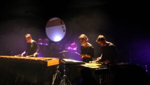 Trio Incidence les 28 et 29 janvier 2017 à Nogent-le-Roi et Chartres